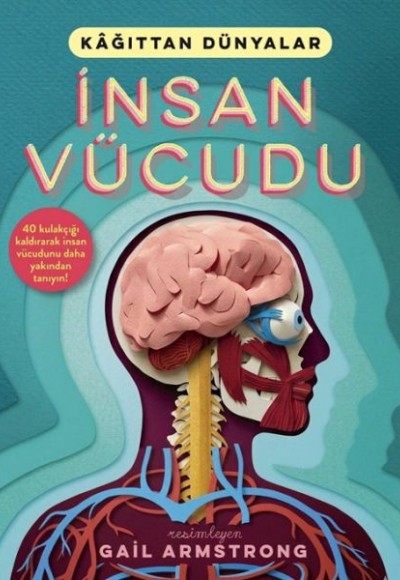 İnsan Vücudu İnsan Vücudu