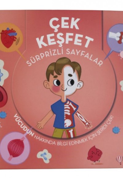 Çek Keşfet - İnsan Vücudu Sürprizli Sayfalar Çek Keşfet - İnsan Vücudu Sürprizli Sayfalar