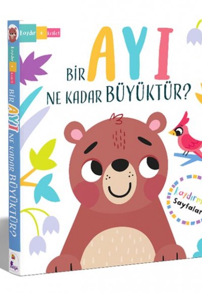 Bir Ayı Ne Kadar Büyüktür? – Kaydır + Keşfet Bir Ayı Ne Kadar Büyüktür? – Kaydır + Keşfet