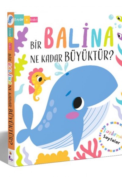 Bir Balina Ne Kadar Büyüktür? – Kaydır + Keşfet Bir Balina Ne Kadar Büyüktür? – Kaydır + Keşfet
