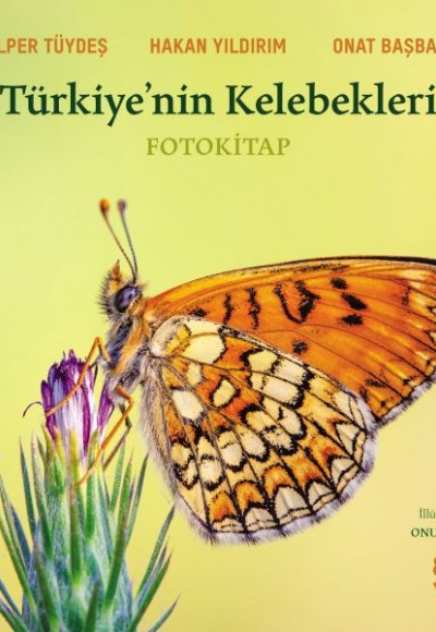 Türkiye’nin Kelebekleri Türkiye’nin Kelebekleri