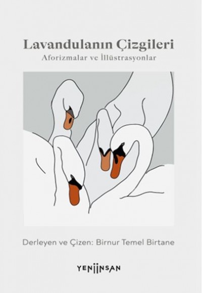 Lavandulanın Çizgileri Lavandulanın Çizgileri