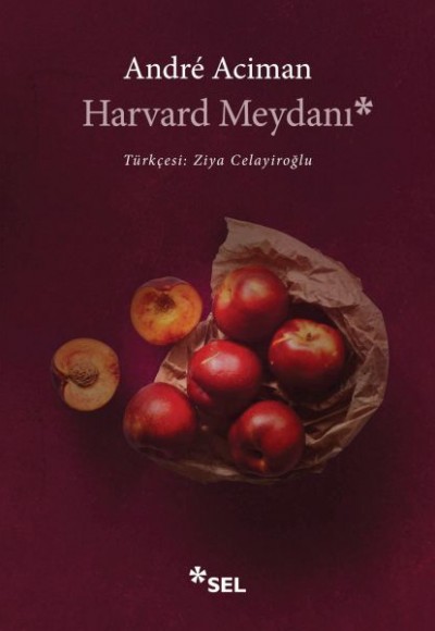 Harvard Meydanı Harvard Meydanı