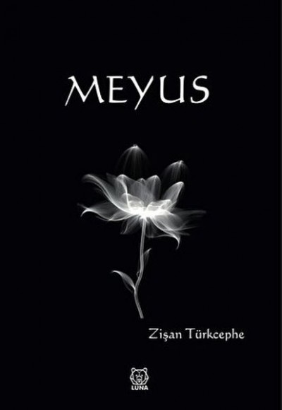 Meyus Meyus