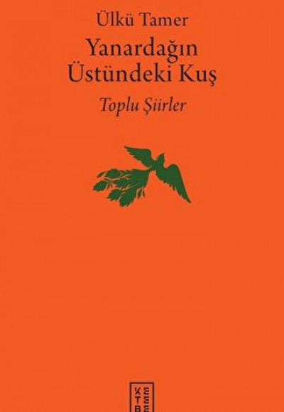 Yanardağın Üstündeki Kuş Yanardağın Üstündeki Kuş