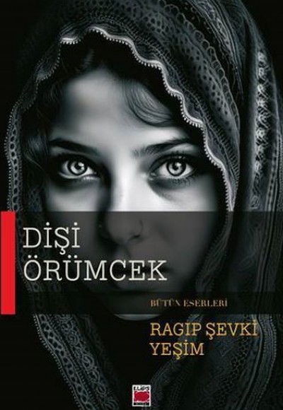Dişi Örümcek Dişi Örümcek