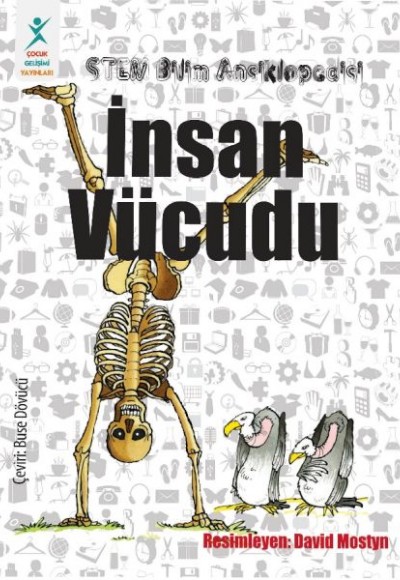 İnsan Vücudu İnsan Vücudu