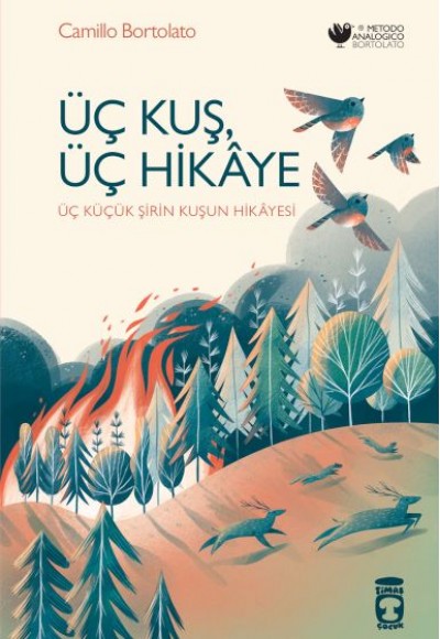 Üç Kuş, Üç Hikâye Üç Kuş, Üç Hikâye