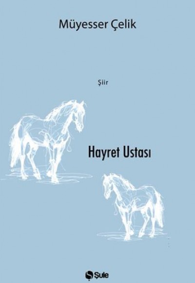 Hayret Ustası Hayret Ustası