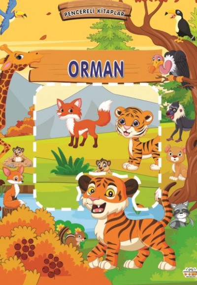 Pencereli Kitaplar Orman Pencereli Kitaplar Orman