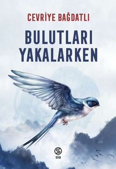 Bulutları Yakalarken Bulutları Yakalarken