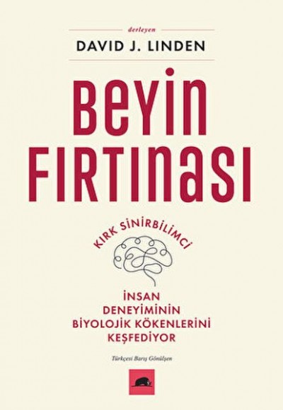 Beyin Fırtınası Beyin Fırtınası