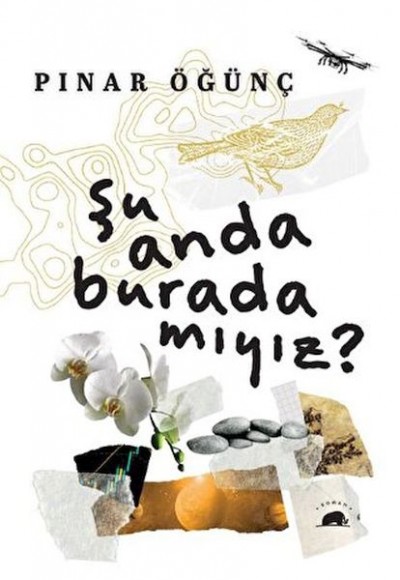 Şu Anda Burada Mıyız? Şu Anda Burada Mıyız?