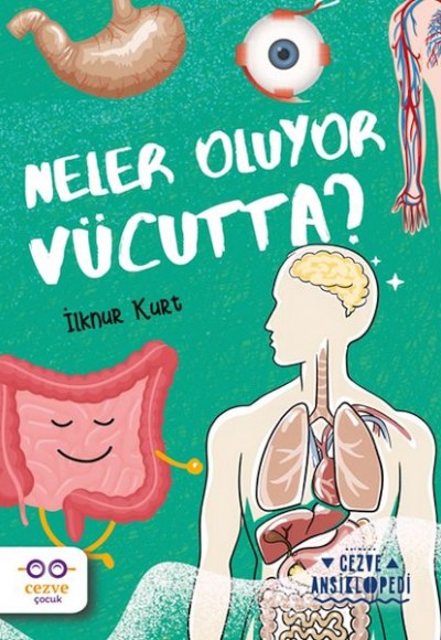 Neler Oluyor Vücutta ? – Cezve Ansiklopedi Neler Oluyor Vücutta ? – Cezve Ansiklopedi
