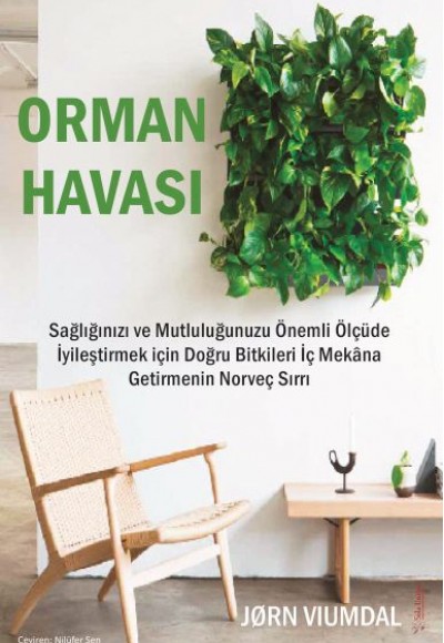 Orman Havası Orman Havası
