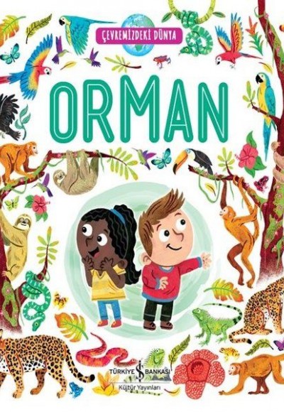 Orman - Çevremizdeki Dünya Orman - Çevremizdeki Dünya