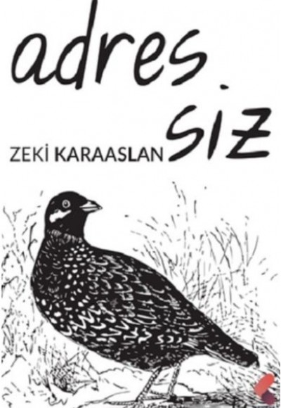 Adressiz Adressiz