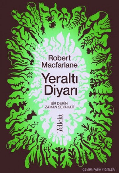 Yeraltı Diyarı: Bir Derin Zaman Seyahati Yeraltı Diyarı: Bir Derin Zaman Seyahati