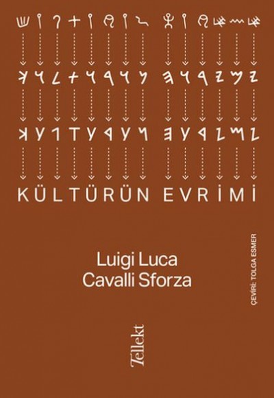 Kültürün Evrimi Kültürün Evrimi