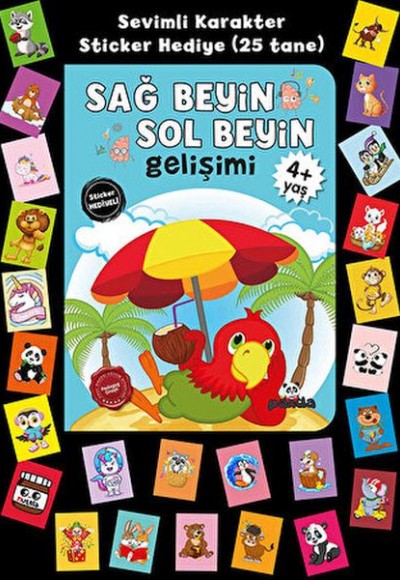 Stickerlı 4+ Yaş Sağ Beyin Sol Beyin Gelişim Stickerlı 4+ Yaş Sağ Beyin Sol Beyin Gelişim