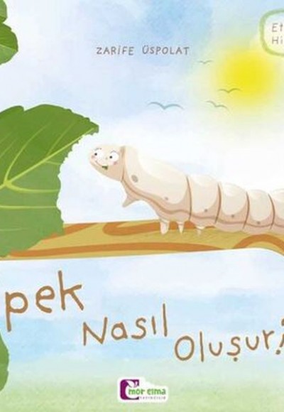 Oluşum Hikayeleri - İpek nasıl oluşur? Oluşum Hikayeleri - İpek nasıl oluşur?