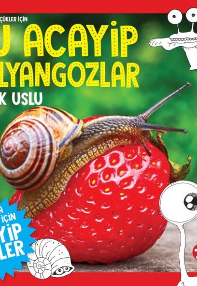 Daha Küçükler İçin Şu Acayip Salyangozlar Daha Küçükler İçin Şu Acayip Salyangozlar
