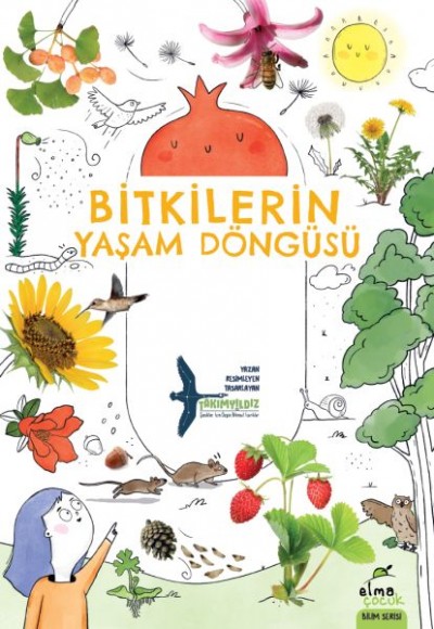 Bitkilerin Yaşam Döngüsü Bitkilerin Yaşam Döngüsü