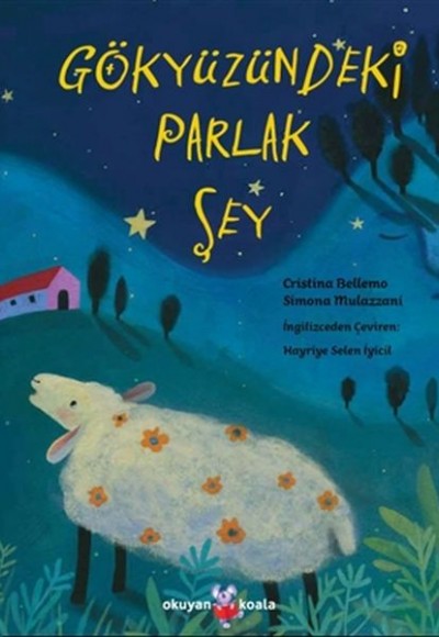 Gökyüzündeki Parlak Şey Gökyüzündeki Parlak Şey
