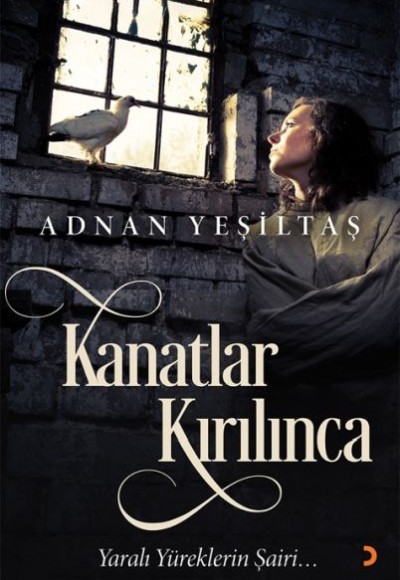 Kanatlar Kırılınca Kanatlar Kırılınca