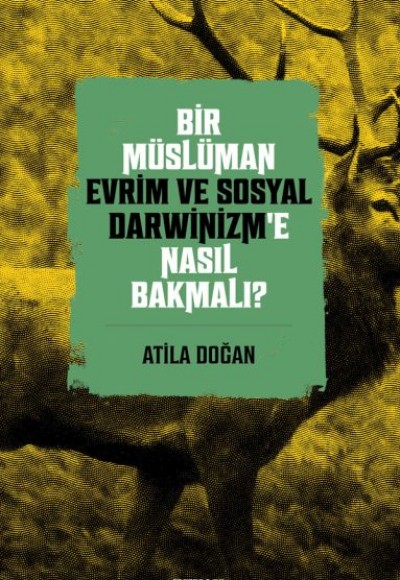 Bir Müslüman Evrim ve Sosyal Darwinizm’e Nasıl Bakmalı? Bir Müslüman Evrim ve Sosyal Darwinizm’e Nasıl Bakmalı?