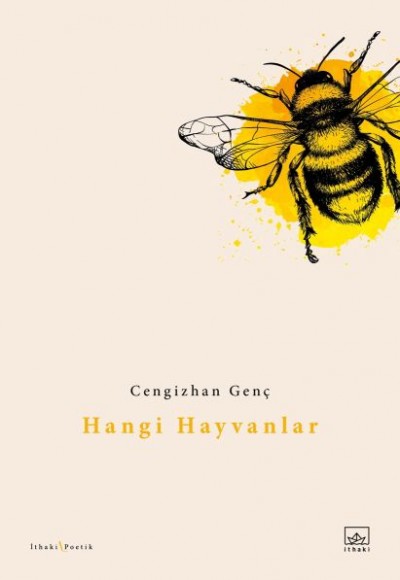 Hangi Hayvanlar Hangi Hayvanlar