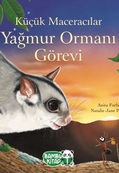 Küçük Maceracılar - Yağmur Ormanı Görevi Küçük Maceracılar - Yağmur Ormanı Görevi