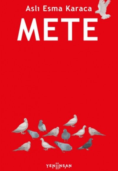 Mete Mete