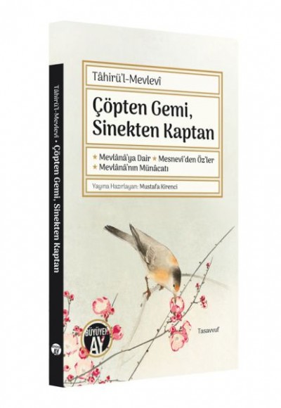 Çöpten Gemi Sinekten Kaptan Çöpten Gemi Sinekten Kaptan