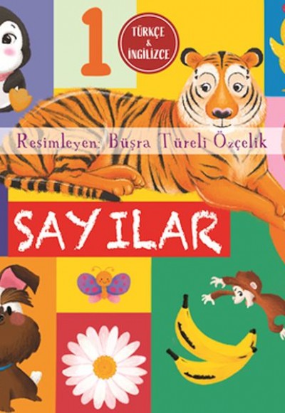 Sayılar Sayılar