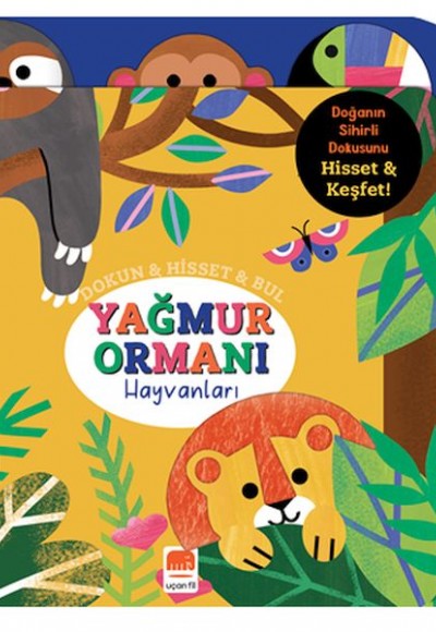 Dokun & Hisset & Bul Yağmur Ormanı Hayvanları Dokun & Hisset & Bul Yağmur Ormanı Hayvanları