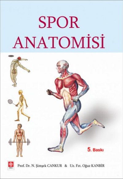 Spor Anatomisi Spor Anatomisi