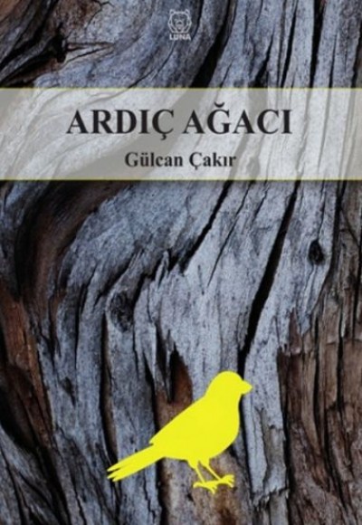 Ardıç Ağacı Ardıç Ağacı