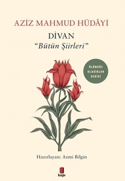Divan - Bütün Şiirleri Divan - Bütün Şiirleri