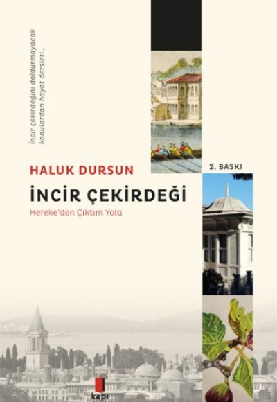 İncir Çekirdeği İncir Çekirdeği