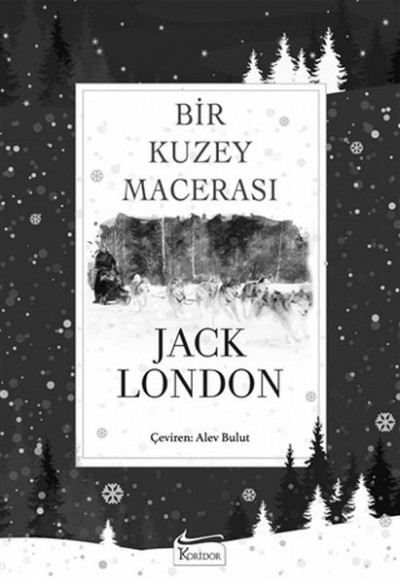 Bir Kuzey Macerası (Bez Ciltli) Bir Kuzey Macerası (Bez Ciltli)