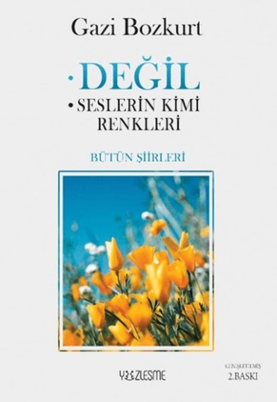 Değil Değil