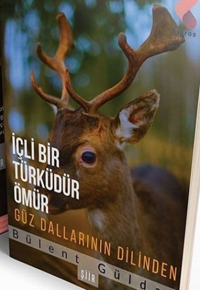 İçli Bir Türküdür Ömür Güz Dallarının Dilinden İçli Bir Türküdür Ömür Güz Dallarının Dilinden