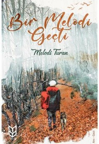 Bir Melodi Geçti Bir Melodi Geçti