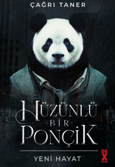 Hüzünlü Bir Ponçik - Yeni Hayat Hüzünlü Bir Ponçik - Yeni Hayat