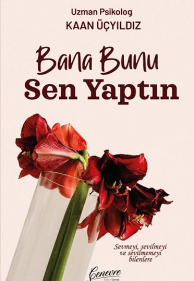 Bana Bunu Sen Yaptın Bana Bunu Sen Yaptın