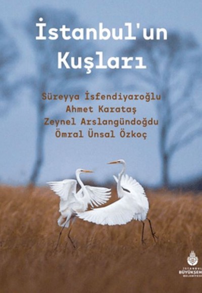 İstanbulun Kuşları İstanbulun Kuşları