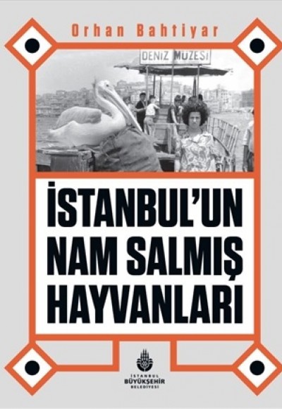 İstanbul’un Nam Salmış Hayvanları İstanbul’un Nam Salmış Hayvanları