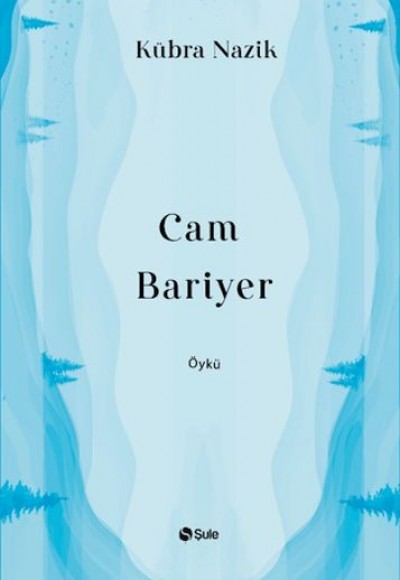 Cam Bariyer Cam Bariyer