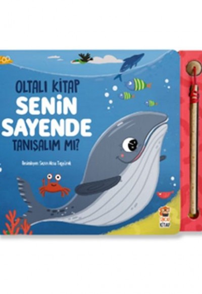 Senin Sayende - Tanışalım mı? Senin Sayende - Tanışalım mı?